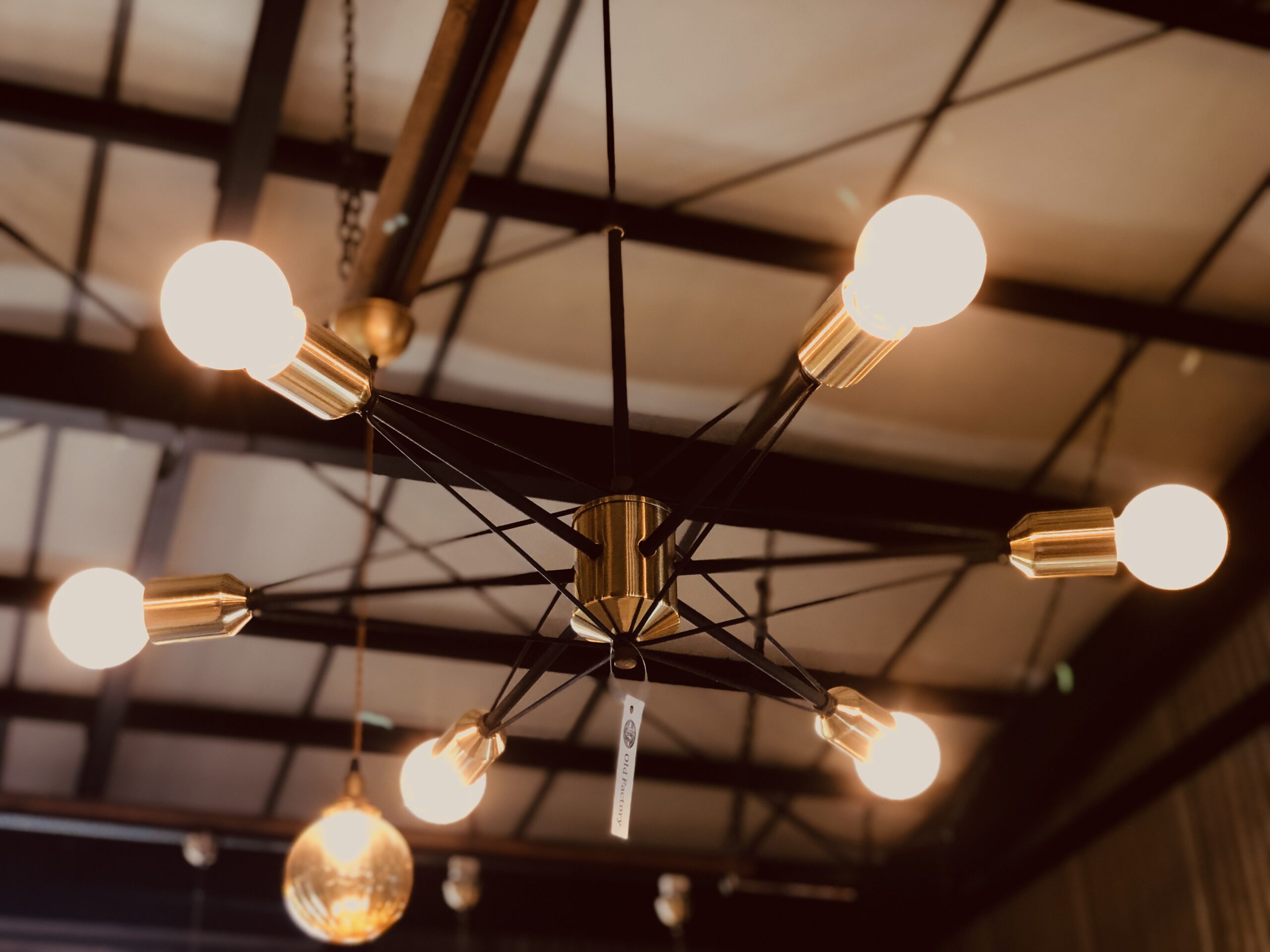 ６灯ペンダントライト