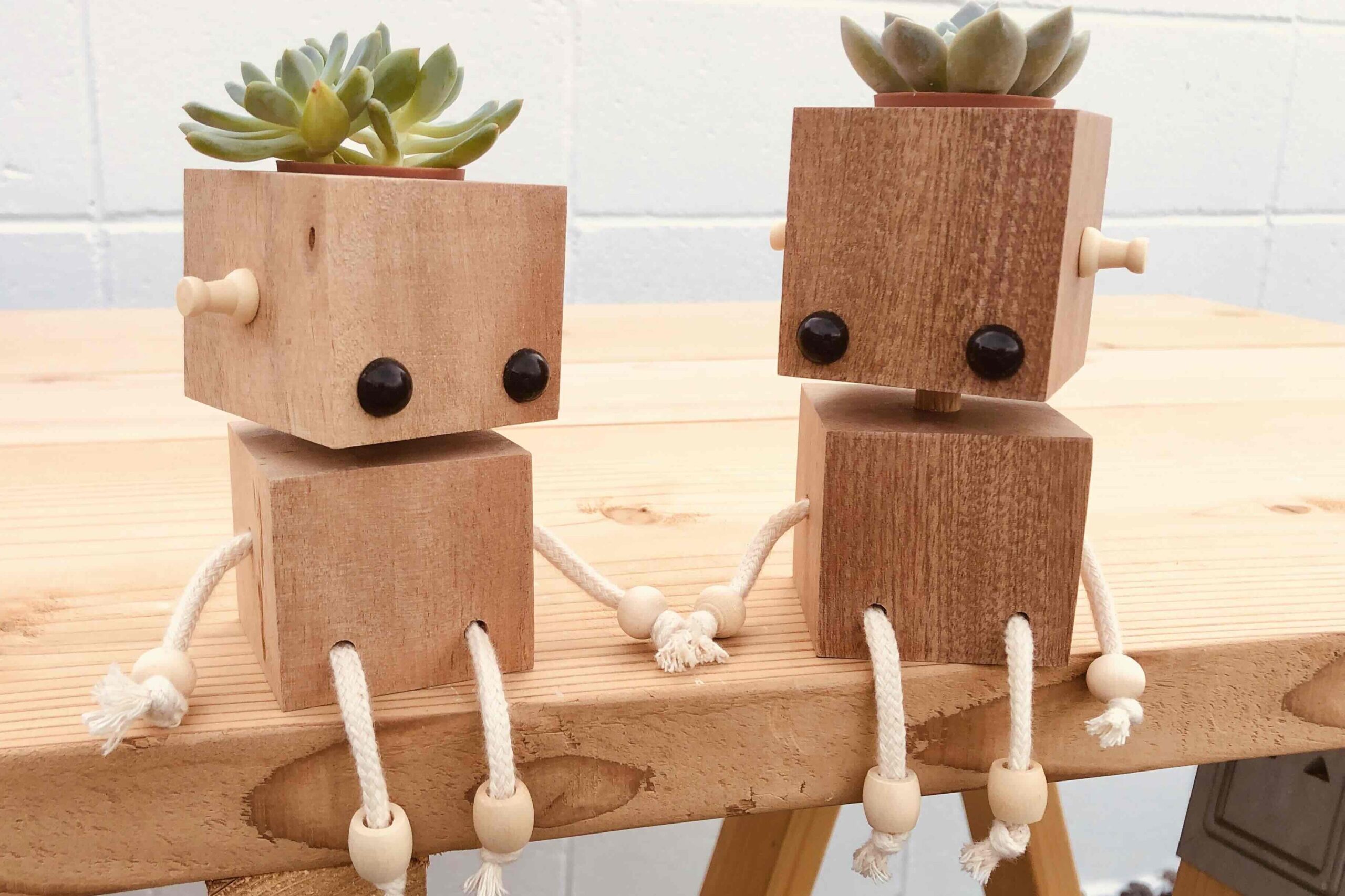 ロボットの多肉植物ポット