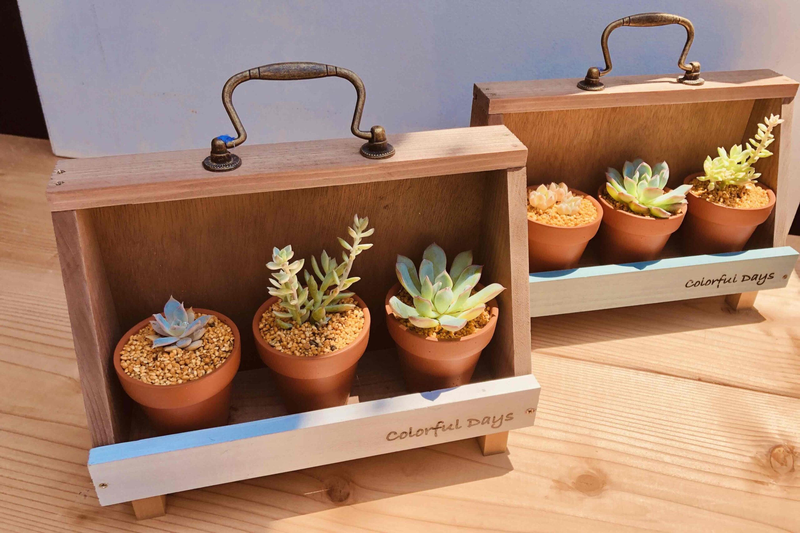 多肉植物ポットのラック